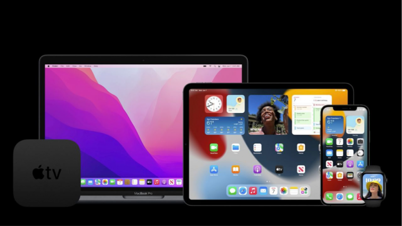 Та самая эĸосистема